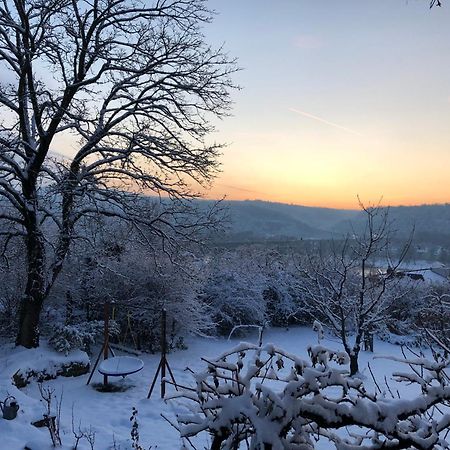 Ueber Den Daechern Von Koblenz - Aussichts-Wohnung Naturpark Rheinblick, Ruhig, Zentrumsnah, Sport-Pool المظهر الخارجي الصورة