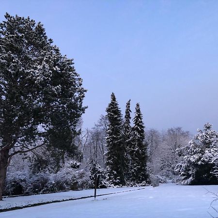 Ueber Den Daechern Von Koblenz - Aussichts-Wohnung Naturpark Rheinblick, Ruhig, Zentrumsnah, Sport-Pool المظهر الخارجي الصورة