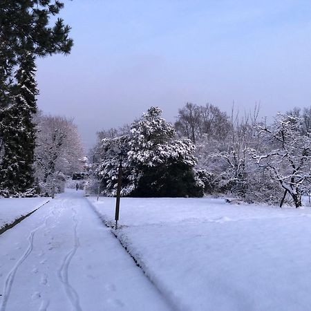 Ueber Den Daechern Von Koblenz - Aussichts-Wohnung Naturpark Rheinblick, Ruhig, Zentrumsnah, Sport-Pool المظهر الخارجي الصورة