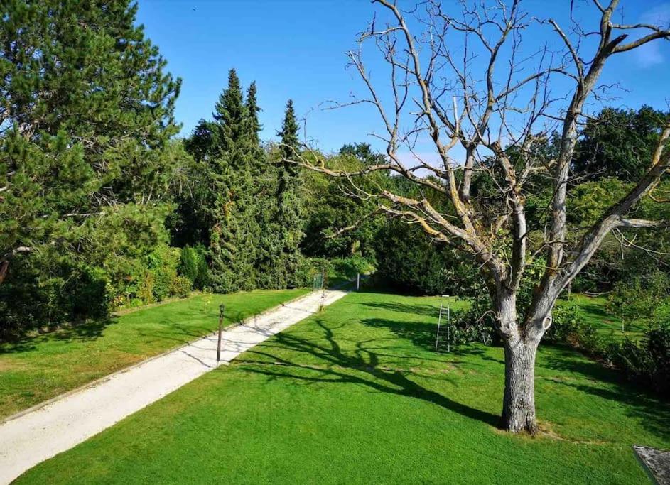 Ueber Den Daechern Von Koblenz - Aussichts-Wohnung Naturpark Rheinblick, Ruhig, Zentrumsnah, Sport-Pool المظهر الخارجي الصورة