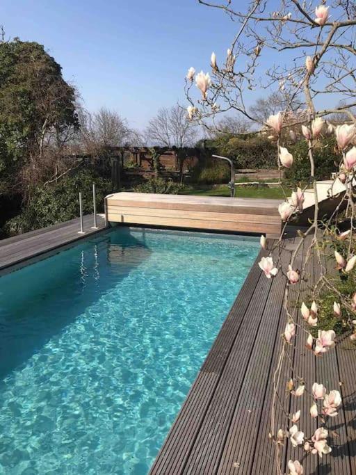 Ueber Den Daechern Von Koblenz - Aussichts-Wohnung Naturpark Rheinblick, Ruhig, Zentrumsnah, Sport-Pool المظهر الخارجي الصورة