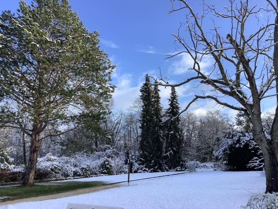 Ueber Den Daechern Von Koblenz - Aussichts-Wohnung Naturpark Rheinblick, Ruhig, Zentrumsnah, Sport-Pool المظهر الخارجي الصورة