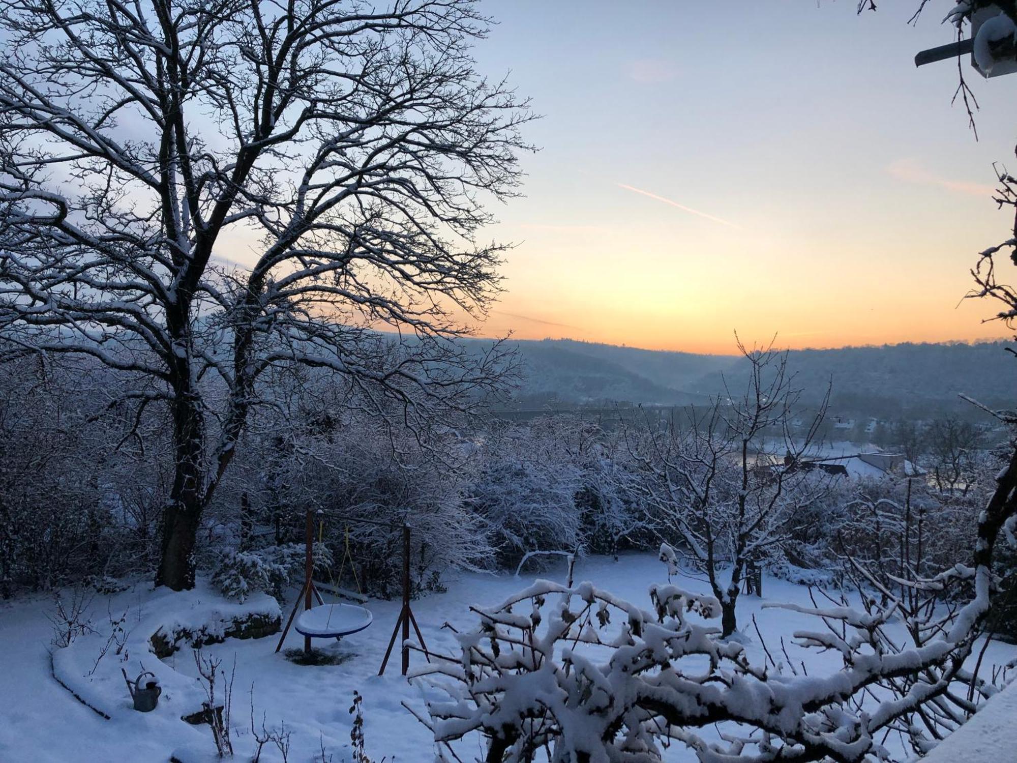 Ueber Den Daechern Von Koblenz - Aussichts-Wohnung Naturpark Rheinblick, Ruhig, Zentrumsnah, Sport-Pool المظهر الخارجي الصورة