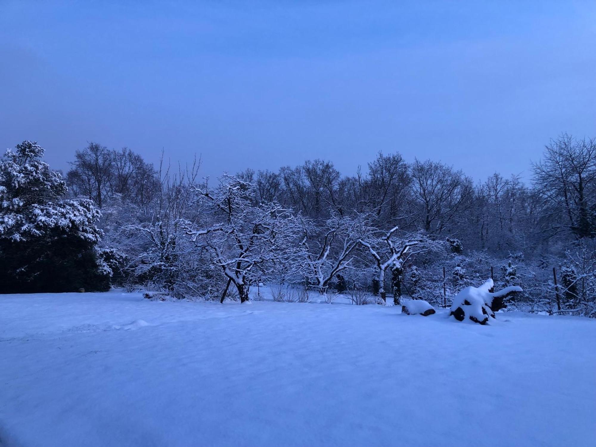 Ueber Den Daechern Von Koblenz - Aussichts-Wohnung Naturpark Rheinblick, Ruhig, Zentrumsnah, Sport-Pool المظهر الخارجي الصورة